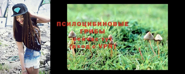 мет Абинск