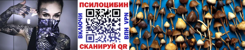 Галлюциногенные грибы ЛСД  цены   Нахабино 