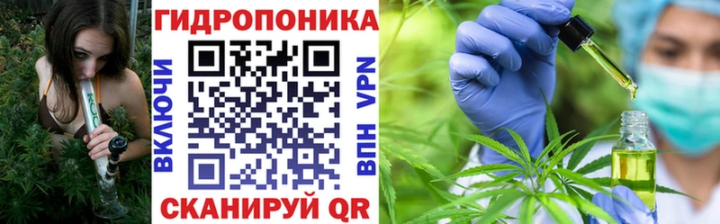 МАРИХУАНА сатива  Нахабино 